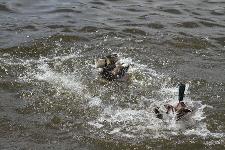 IMG_5148.jpg