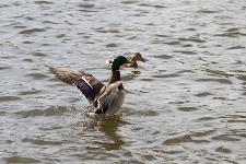 IMG_5150.jpg