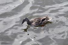 IMG_5186.jpg