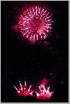 IMG_2805.jpg