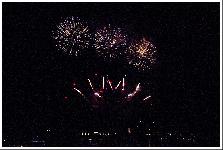 IMG_2828.jpg