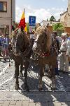 IMG_0159.jpg