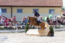 IMG_1312.jpg