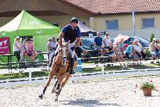 IMG_1424.jpg