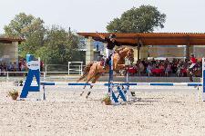 IMG_1463.jpg