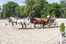 IMG_1563.jpg