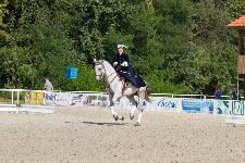 IMG_1653.jpg