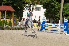 IMG_1945.jpg
