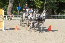 IMG_1955.jpg