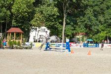 IMG_1979.jpg