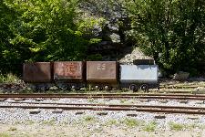 IMG_6111.jpg