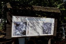 IMG_6121.jpg