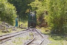 IMG_6153.jpg