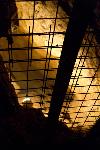 IMG_6273.jpg
