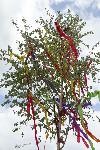 IMG_0391.jpg