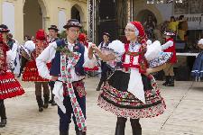 IMG_0488.jpg