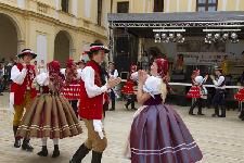 IMG_0500.jpg