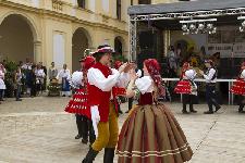 IMG_0502.jpg