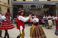 IMG_0504.jpg