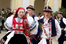 IMG_0520.jpg