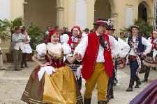 IMG_0528.jpg