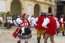 IMG_0533.jpg