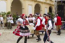 IMG_0534.jpg