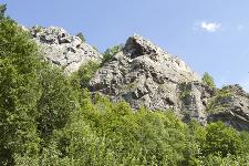 IMG_6078.jpg