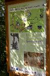 IMG_6079.jpg