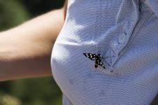 IMG_6110.jpg