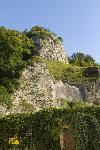 IMG_6284.jpg
