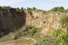 IMG_8955.jpg