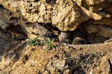 IMG_8992.jpg
