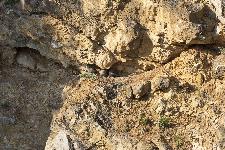 IMG_8998.jpg