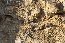 IMG_9000.jpg