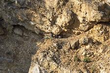 IMG_9001.jpg