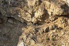 IMG_9011.jpg