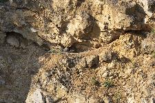 IMG_9031.jpg