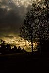 IMG_0344.jpg