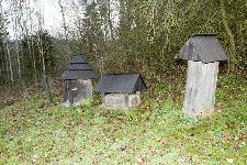 IMG_0355.jpg