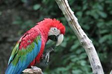 IMG_2613.jpg