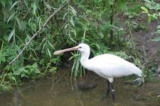 IMG_2636.jpg
