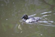 IMG_2638.jpg