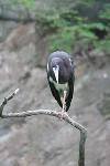 IMG_2651.jpg