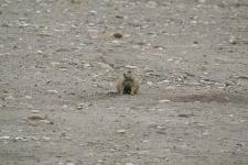 IMG_2660.jpg