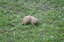IMG_2685.jpg