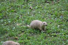 IMG_2687.jpg