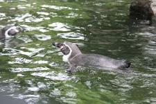 IMG_2745.jpg