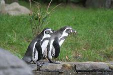 IMG_2746.jpg