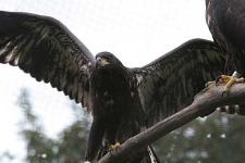 IMG_2758.jpg